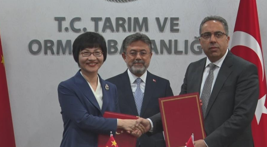 Defne yaprağı ihracatında Çin'le yeni dönem