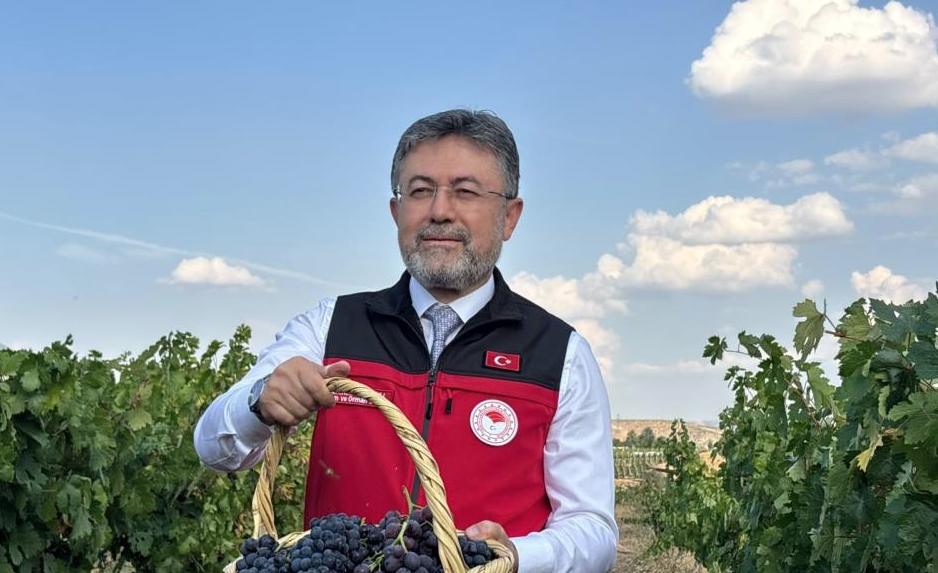 Bakan Yumaklı: Üzüm üretiminde artış bekleniyor